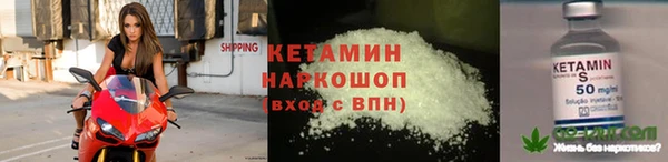 стафф Бородино